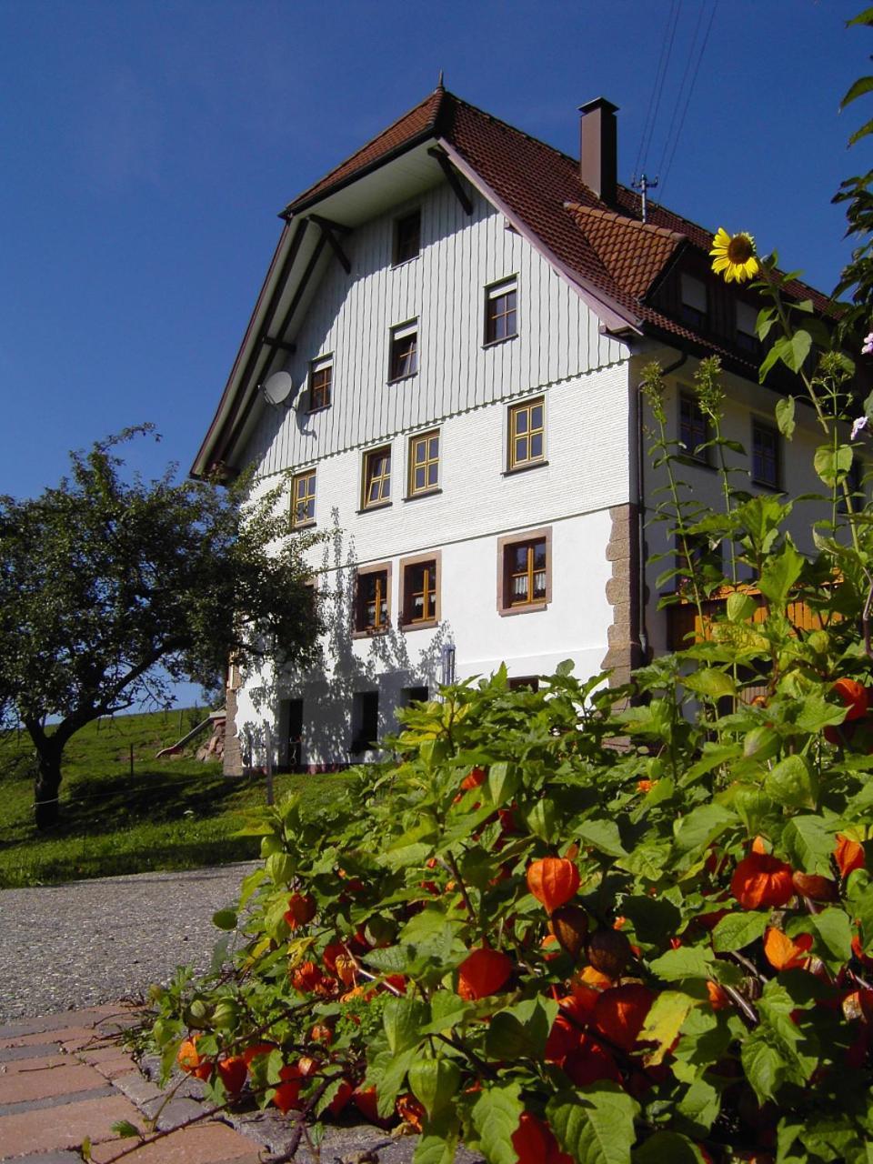 Fehrenbacherhof Naturgaestehaus Lauterbach  Exterior foto